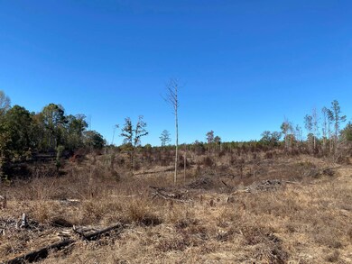 0 Vertie Hoggle Rd, North Perry, AL 36756 - photo 2