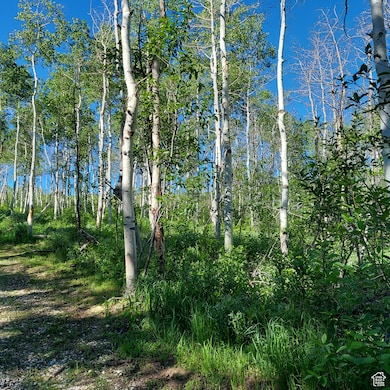 1 E Powder Mtn Cir unit 22, Spanish Fork, UT 84660 - photo 3