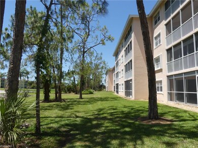 REAR ELEVATION