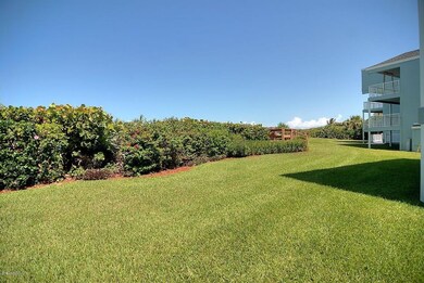 Big backyard to play in