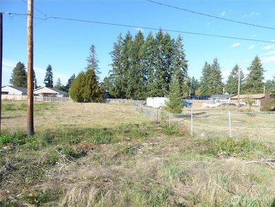 239 170th St E, Spanaway, WA 98387 - photo 7