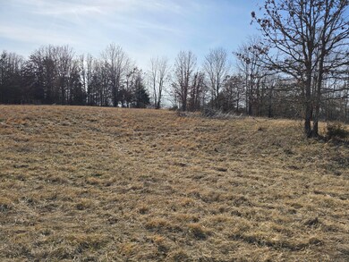 Tbd Highway 72, Salem, MO 65560 - photo 4