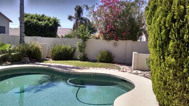 Pool and Side Yard