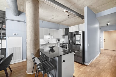 River Village Lofts unit 1611, Chicago, IL 60654 - photo 7