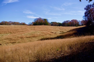 Tract 7 Barlow Rd, Rock Island, TN 38581 - photo 5