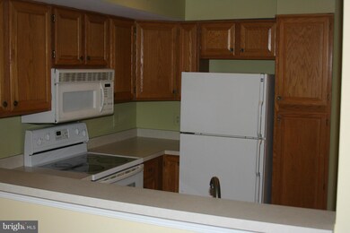 1377 Garden Wall Cir unit 611, Reston, VA 20194 - photo 6