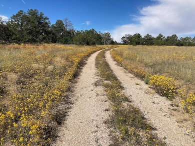 17 Hastings Loop, Ramah, NM 87321 - photo 6