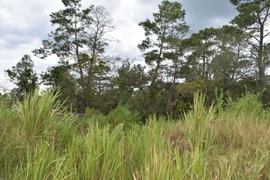 20200921184647510196000000-o