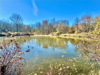 255 Howells Rd, Middletown, NY 10940 - photo 7