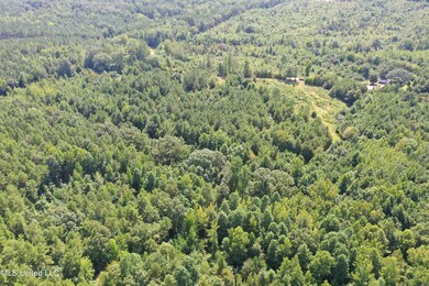 DJI_0421