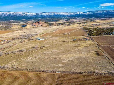 TBD NW Sage Ave, Cedaredge, CO 81413 - photo 3