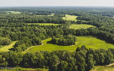 dji_0206