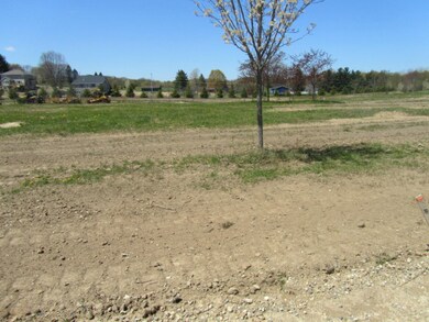 Golden Valley lot 11