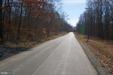 5917 Doyle Rd, Clifton, VA 20124 - photo 6