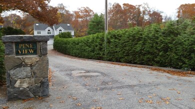 Entry Driveway
