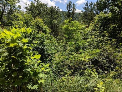 View to South from build-pad.  Trees will be remov