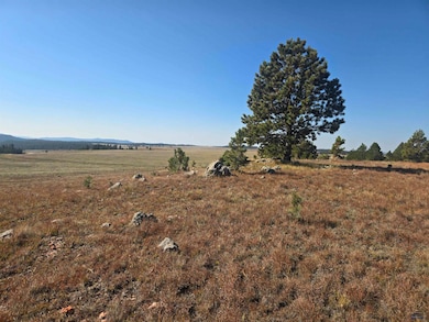 11815 W Argyle Rd, Custer, SD 57730 - photo 3