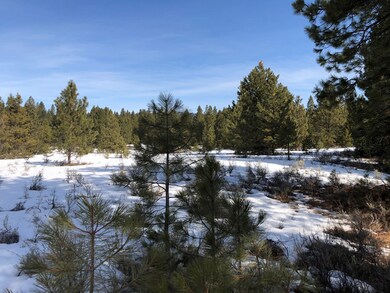 Nicely Wooded