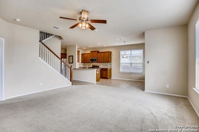 10914 Mustang Oak Dr, San Antonio, TX 78254 - photo 4