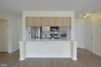 13105 Briarcliff Terrace unit 1107, Germantown, MD 20874 - photo 6