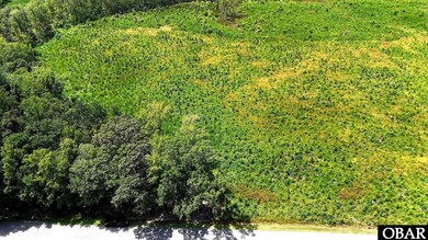 TBD Cove Rd unit Lot 1, New Hope, NC 27944 - photo 2