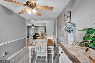 103 Westbridge Rd, Glenolden, PA 19036 - photo 7