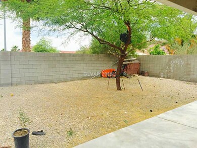 Yard/Garden.
