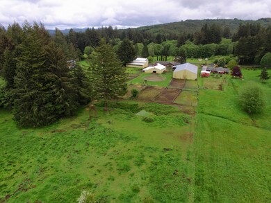 Back Pasture