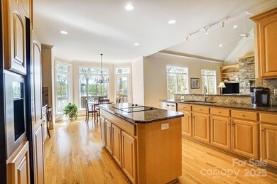 928 Thorn Ridge Ln, Clover, SC 29710 - photo 7