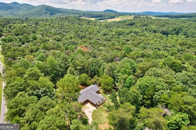 52 Homer Wright Rd, Ellijay, GA 30536 - photo 6