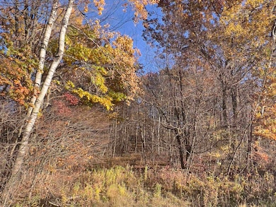 40 acre Tryba Rd, Reid, WI 54440 - photo 2