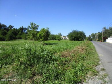 205 16th St, Northumberland, PA 17857 - photo 6