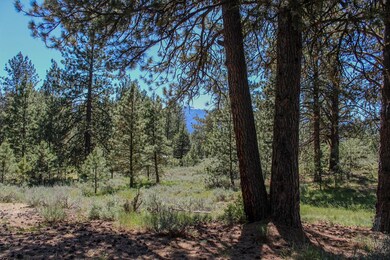 Forest & Mountain Views