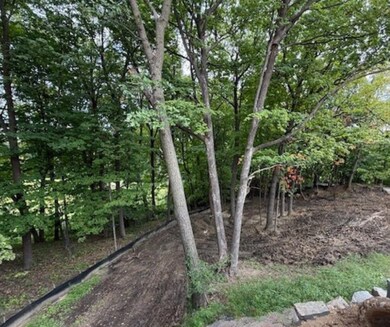 20381 Excelsior Blvd, Shorewood, MN 55331 - photo 4