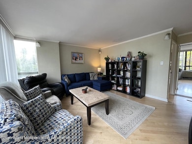 Sunrise Tower unit 404, Staten Island, NY 10304 - photo 4