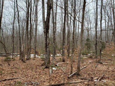 lot 59 Stiles Rd, Harmony, ME 04942 - photo 2