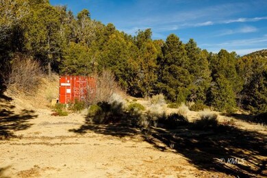 Cabin/RV Pad 2 and Conex Shed
