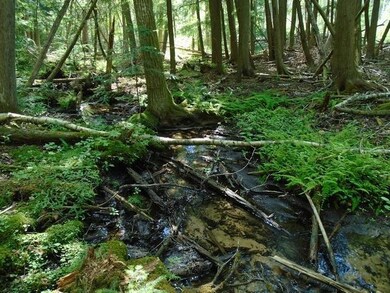Creek