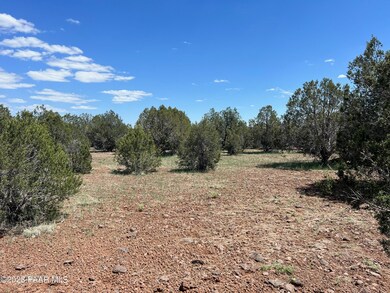 230 Camp Rd, Ash Fork, AZ 86320 - photo 3