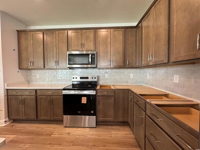 1017 Lady Bird Way unit Phase 4 Lot 390, Atlantic Beach, SC 29582 - photo 5