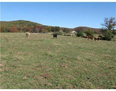 16812 Highway 74, Winslow, AR 72959 - photo 7