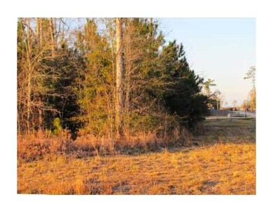 Land/Lot. View along Bedico Trace Bl side of lot