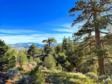 Melcarth Rd, Fort Garland, CO 81133 - photo 4