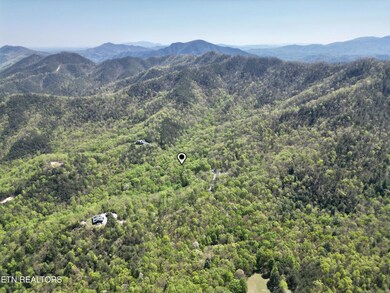 981 Critter Valley Way, Newport, TN 37821 - photo 5