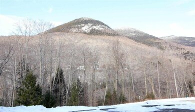 8 Hay Hill Rd unit 8, Lincoln, NH 03251 - photo 5
