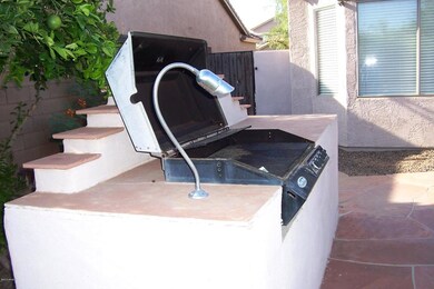Backyard (2)