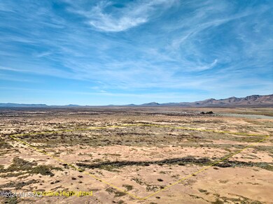 40.74 Acre N Dill Rd unit 302, San Simon, AZ 85632 - photo 6