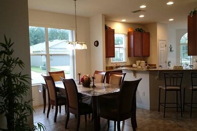 1001 Tourmaline Dr, Kissimmee, FL 34746 - photo 7