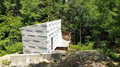 2930 River Bluff Farms Rd, Farmington, MO 63640 - photo 5