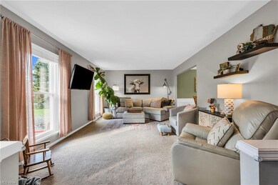 Living room featuring light carpet